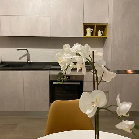 40 Metri Quadri Apartment *